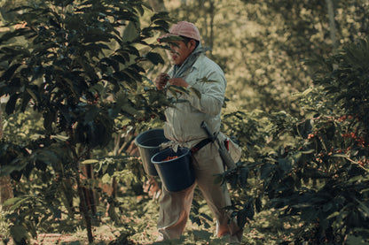 Limited Edition Mexico El Equimite - Natural Process Pink Bourbon - DEMETER Biodynamic Coffee