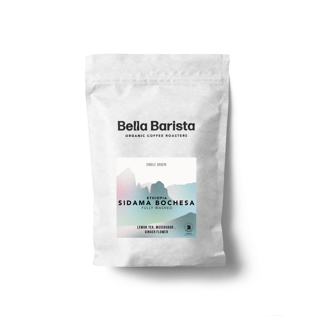 Ethiopia Sidama Bochesa - Organic Coffee