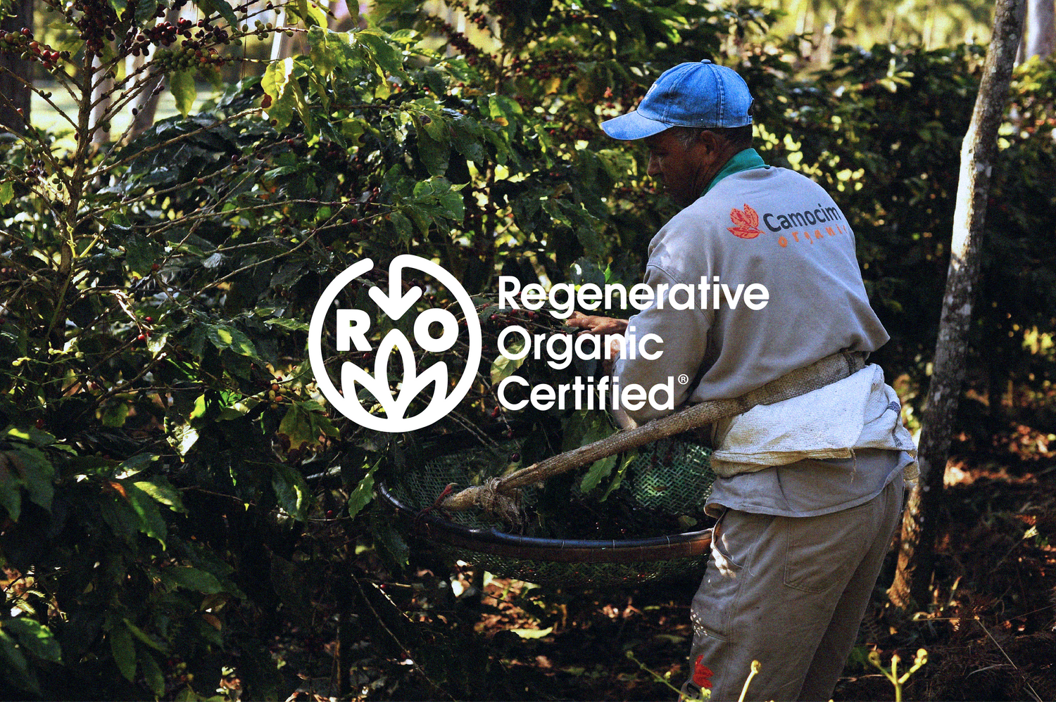 Regenerative Organic Certified Coffee