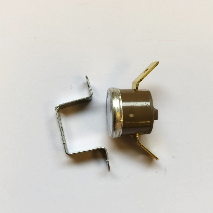 Rancilio silvia store thermostat